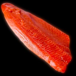 Poisson et filet