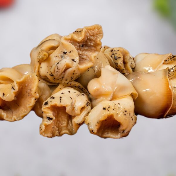 Bourgot Frais ( buccin )
